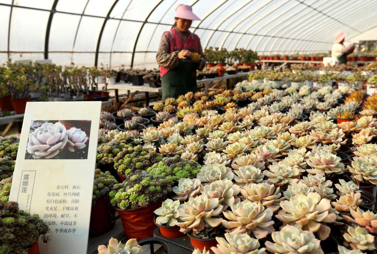 D:Desktop新建文件夹 (8)B67W6106.JPG