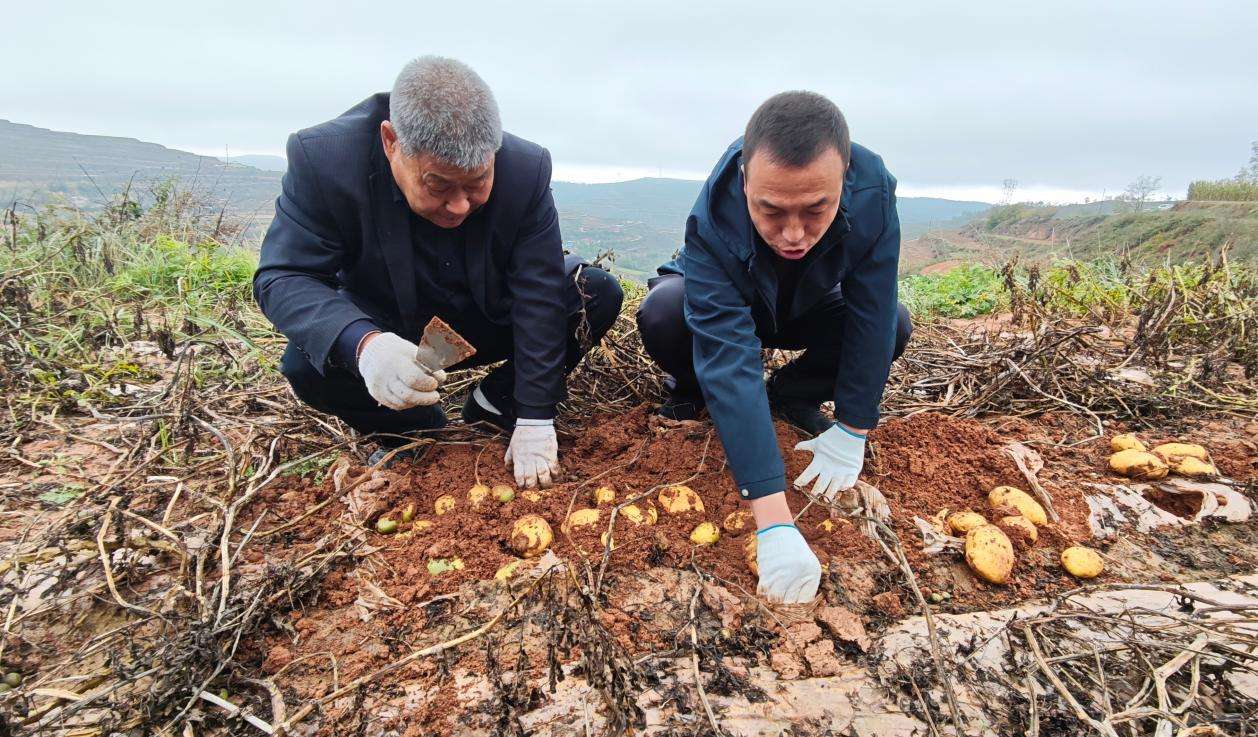 天水田园春农业科技有限公司技术服务专家田永平