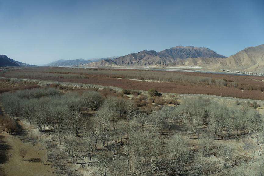 DJI_0173