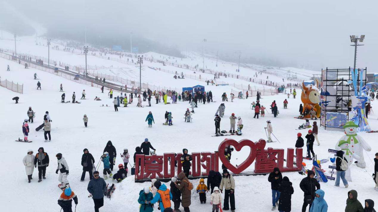 f2c8d361095367738f3dcc82946bd2b2