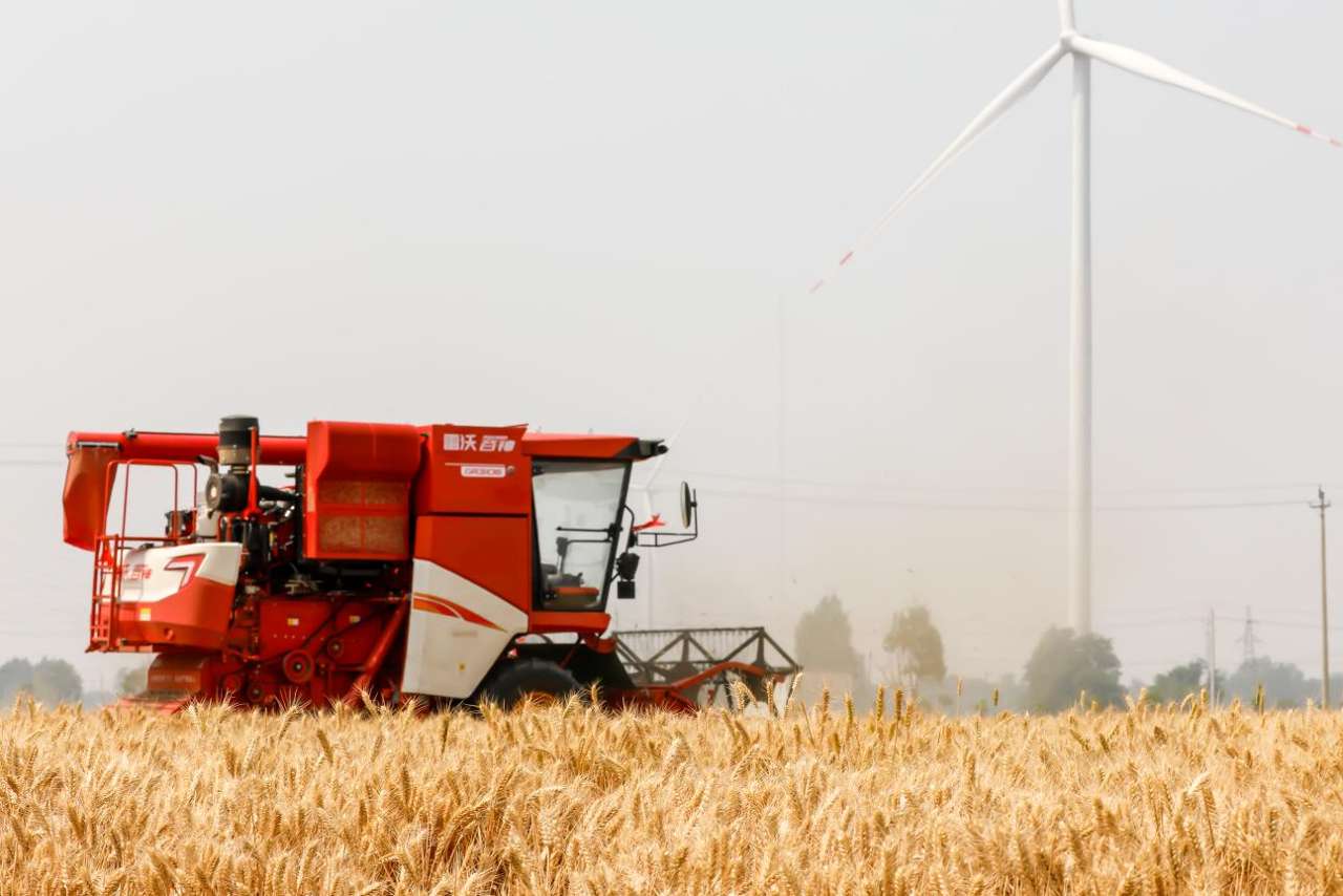 ad2fa06e93c0b11a352be966350882b