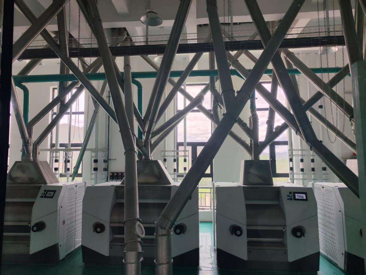 0de66d8ed976d67d7a07ce19ba6ced5