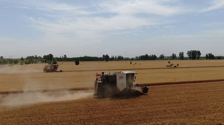 微信图片_20250609101214