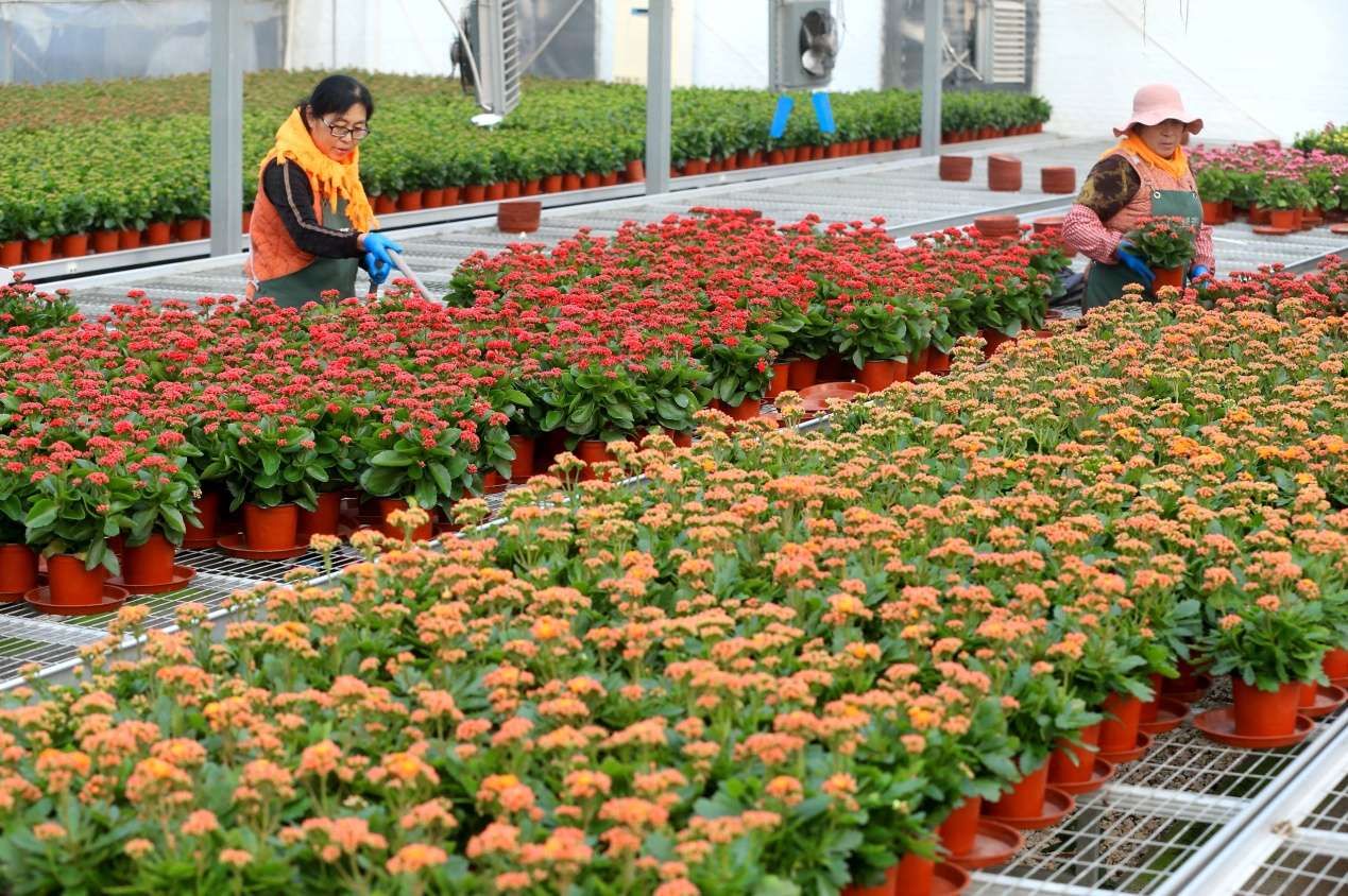 D:Desktop新建文件夹 (8)B67W5737.JPG