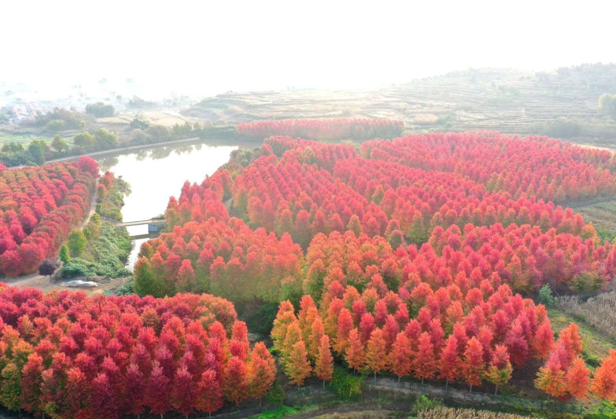 D:\Desktop\新建文件夹 (33)\新建文件夹 (2)\DJI_0641.JPG