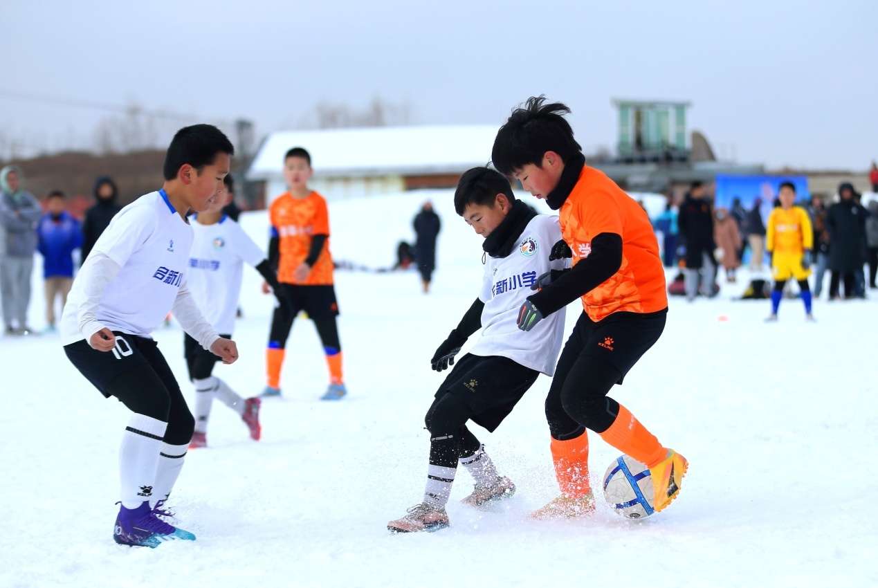 D:\Desktop\新建文献夹 (51)\B67W4003.JPG