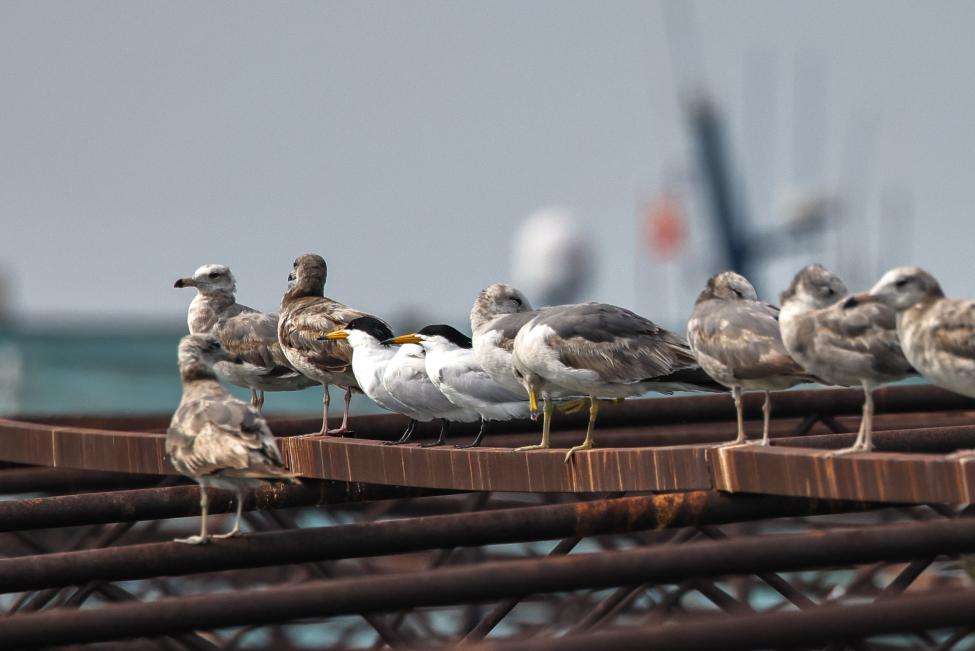 a63f84fb16aa7717dbf3f2175af92d4