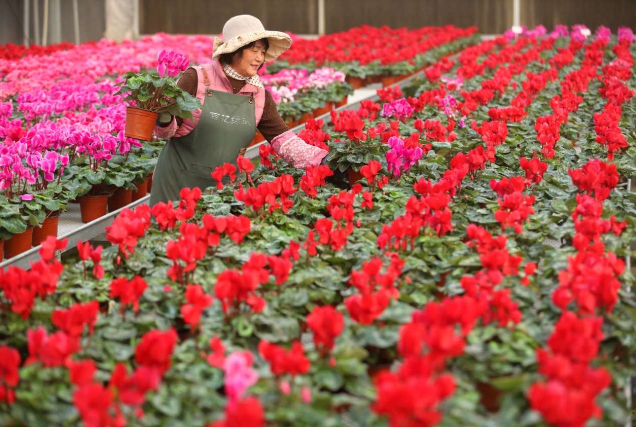 D:Desktop新建文件夹 (8)B67W6065.JPG