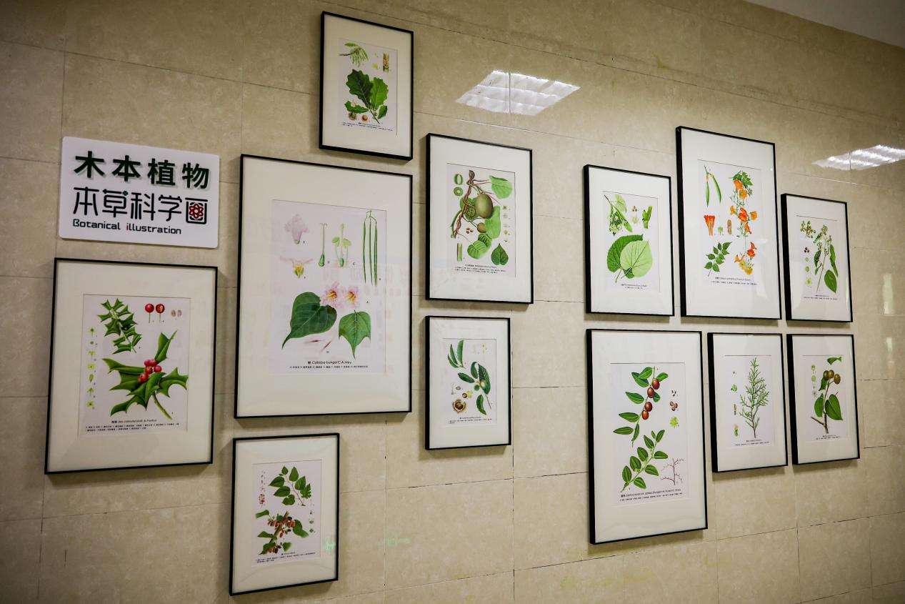 /private/var/folders/9j/9gw7sn210nq2gc83vbppcblh0000gn/T/com.kingsoft.wpsoffice.mac/picturecompress_20251202183133/output_1.jpgoutput_1