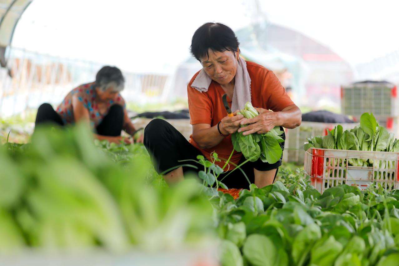 1a8aec6b0bc1bafa4d34656369be3a39