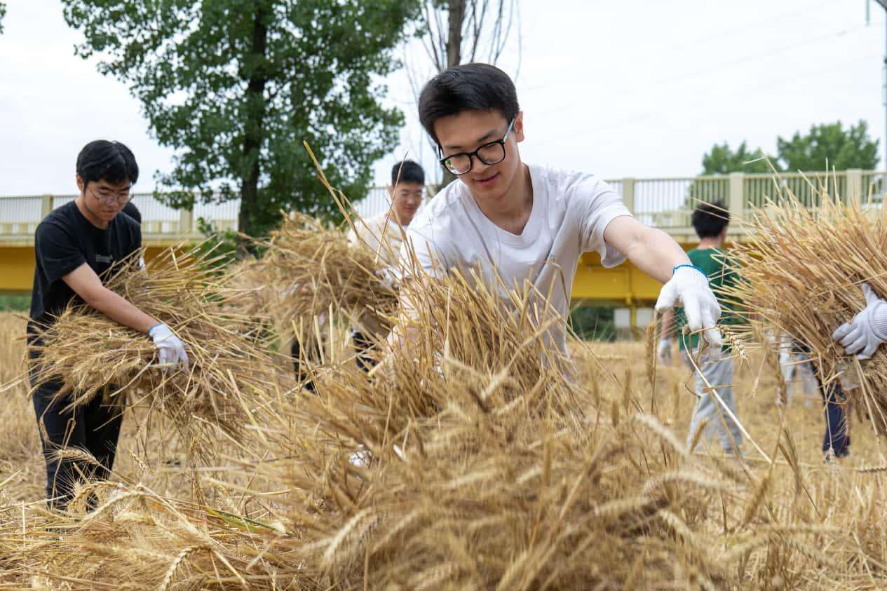 8f1e92e591788e873284a7e0d9fbfc4