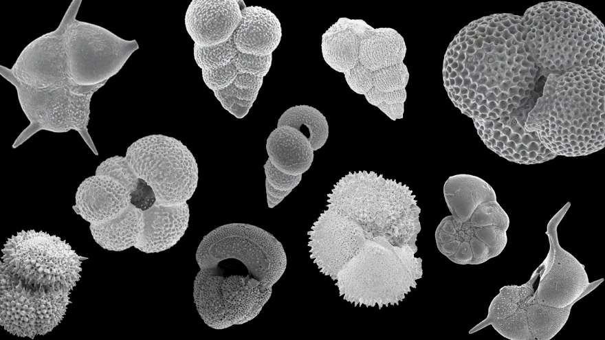 C:\Users\LZB\xwechat_files\wxid_orvh1gb8c78y12_9627\temp\RWTemp\2026-03\626bfbaa2cacd7735b0edd4eed803ef6\Featured image.tif