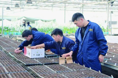 讓中原糧倉更充盈更穩固