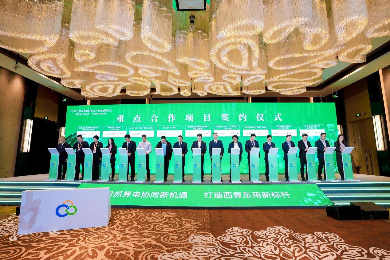 DSC03847-opq4459602908