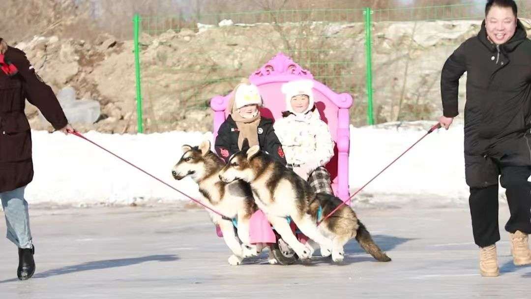 3afc2c63229ffffbd63120be5501277