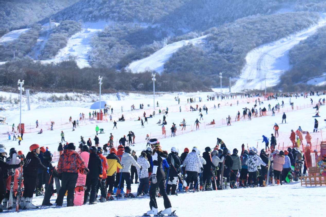 befd8af2c8d0cd397fe1c6f9d60e112c