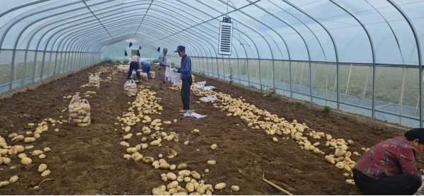 9b954a577f07f1ef2d3ded8d9fd0364