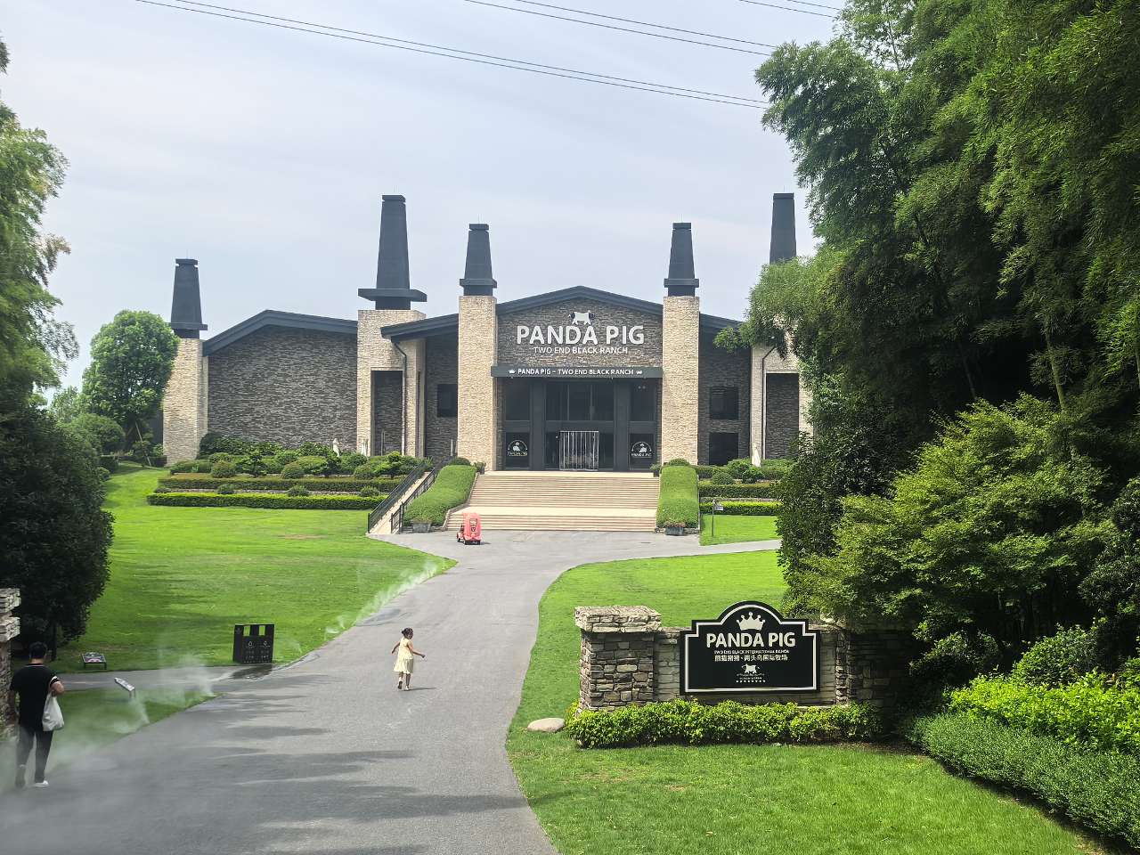 Image1