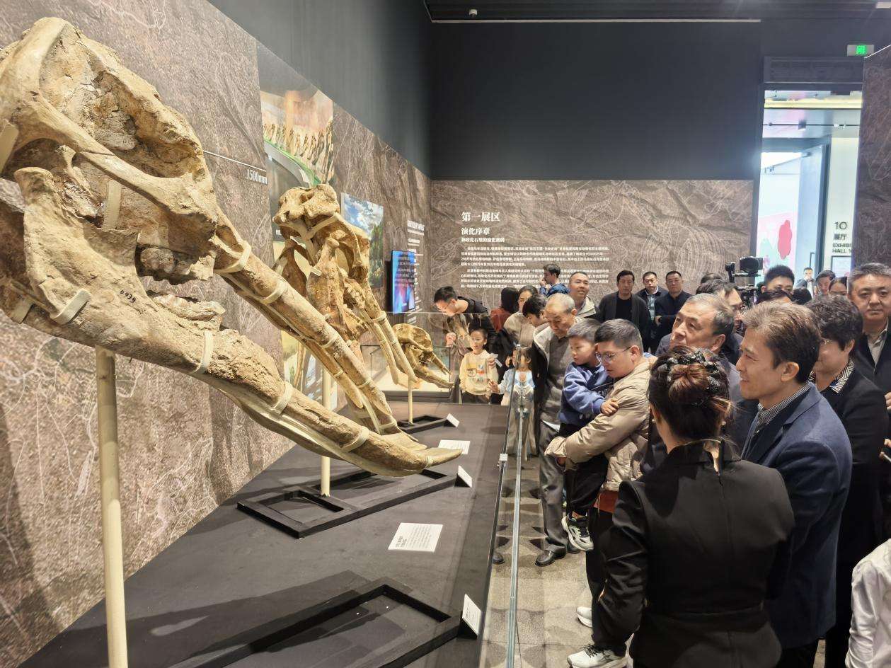 b4b4794b8e07e34f4c3325cf10572941