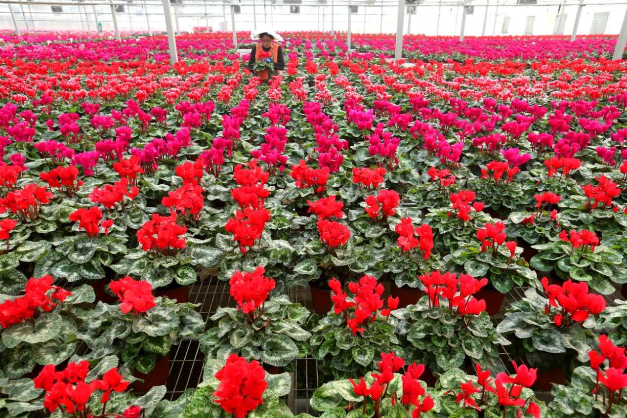 D:Desktop新建文件夹 (8)B67W6011.JPG