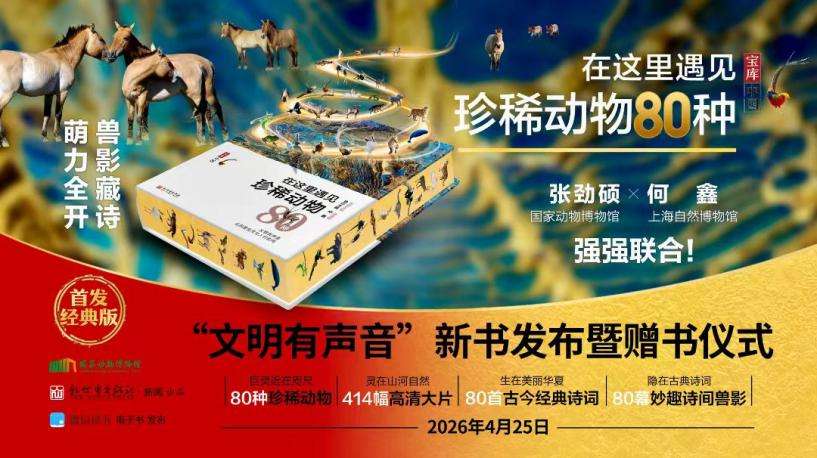 20c85c43249897c602978c1e5b434adc