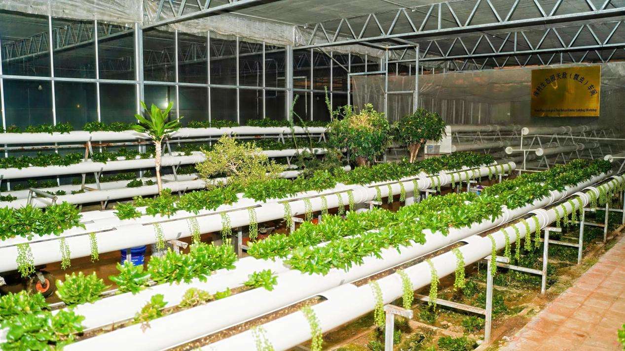 DSC00805-opq4115906489