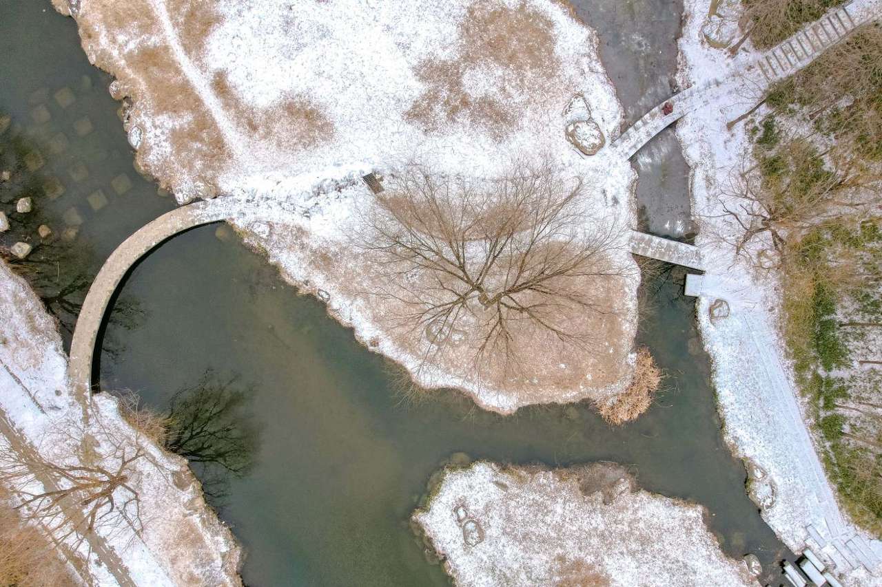 2026年1月19日，山东省青岛市李沧区李村河银装素裹，景色如画。张鹰 摄 (6)