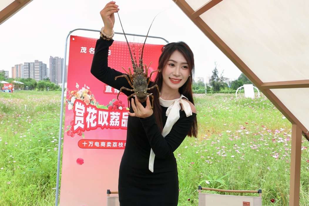 ad9dbeb27d51e6bfcf26d0e696b7456