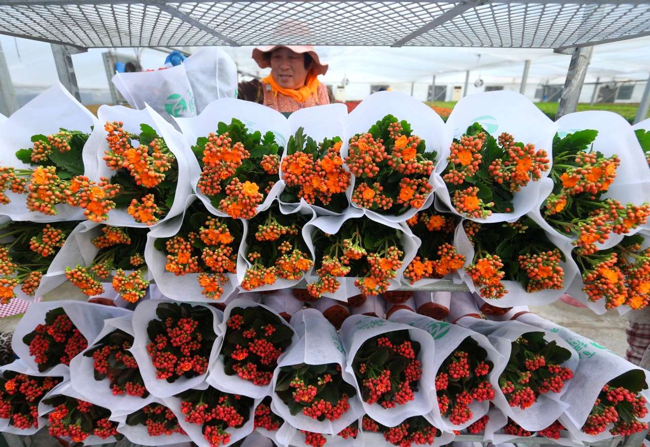 D:Desktop新建文件夹 (8)B67W5697.JPG