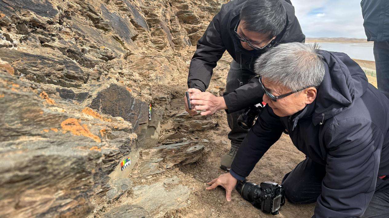 微信图片_20251117205613_34_2192-1