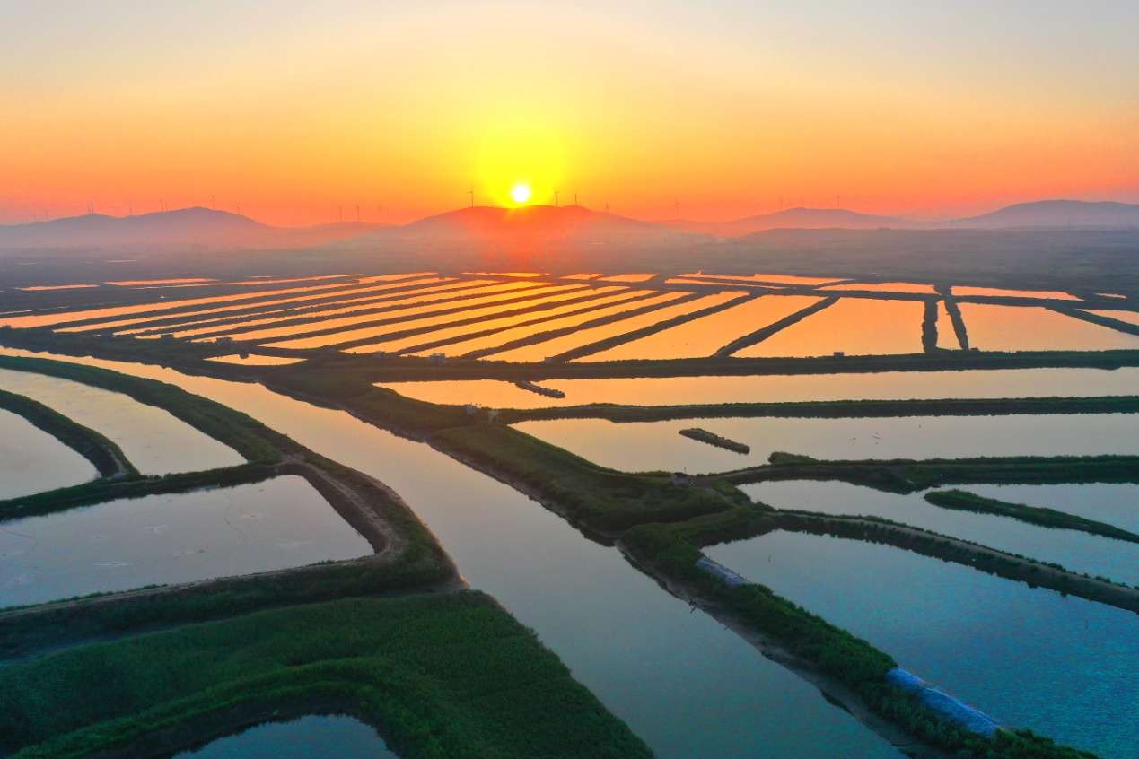 D:\Desktop\新建文件夹 (15)\DJI_0475.JPG