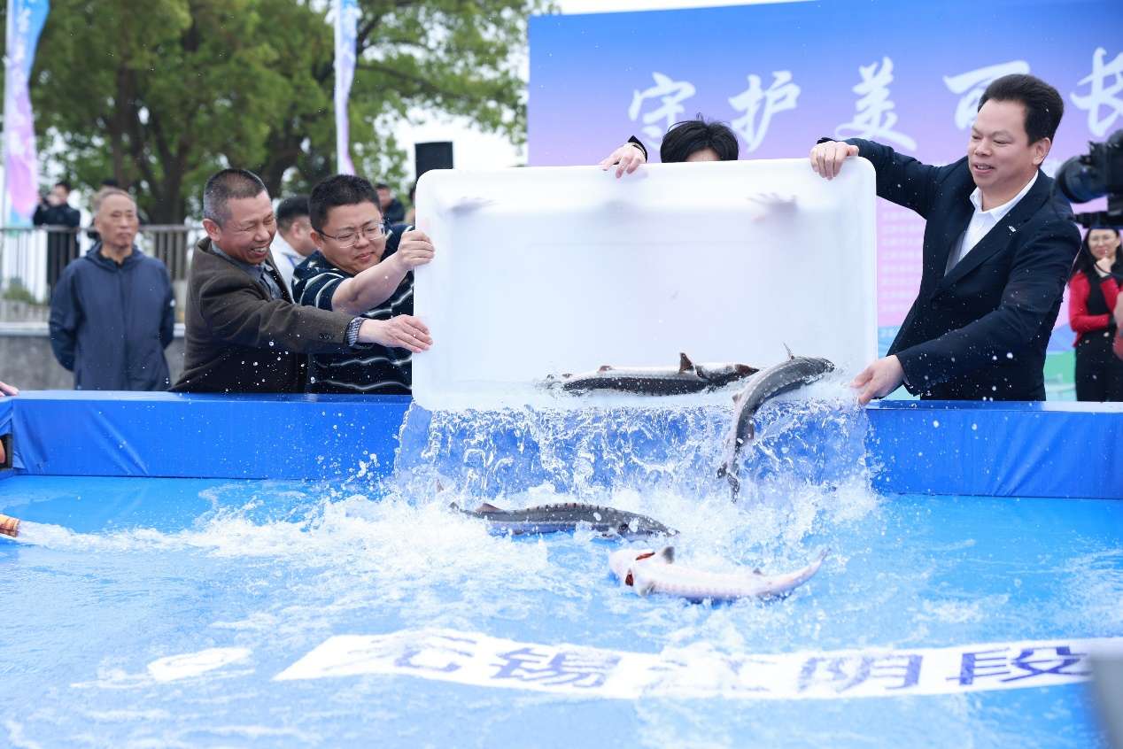 东谈主们在看台上的东谈主在水里拍浮 AI 生成的实质可能不正确。