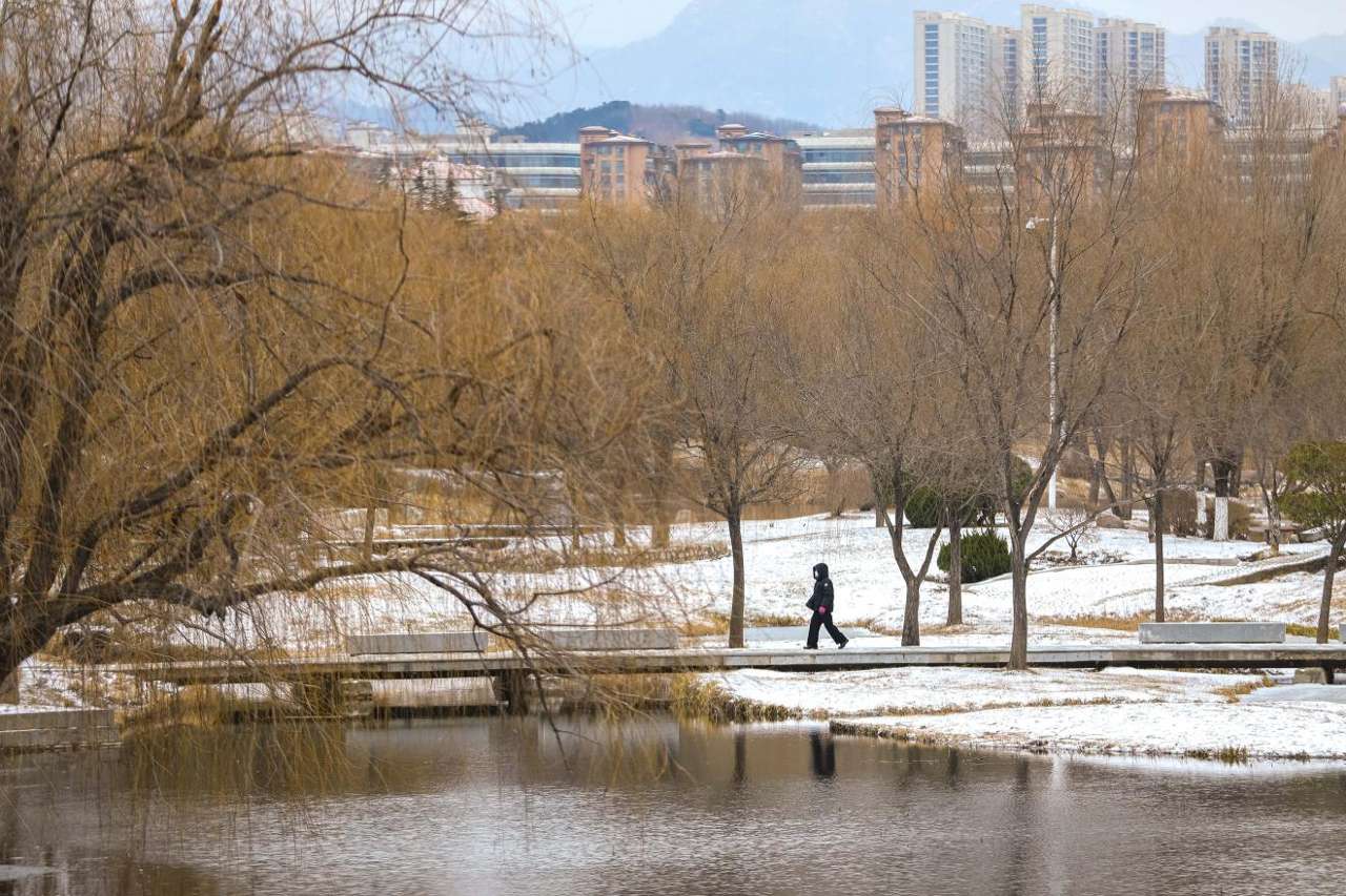 2026年1月19日，山东省青岛市李沧区李村河银装素裹，<a href=