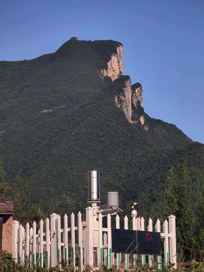 微信图片_20250619142927