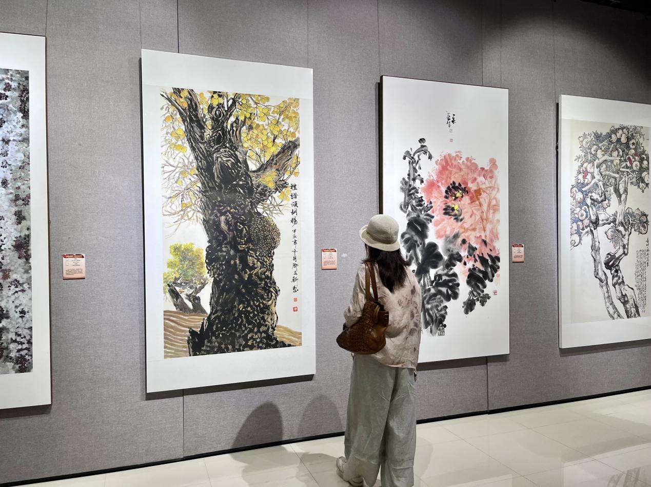 看展1