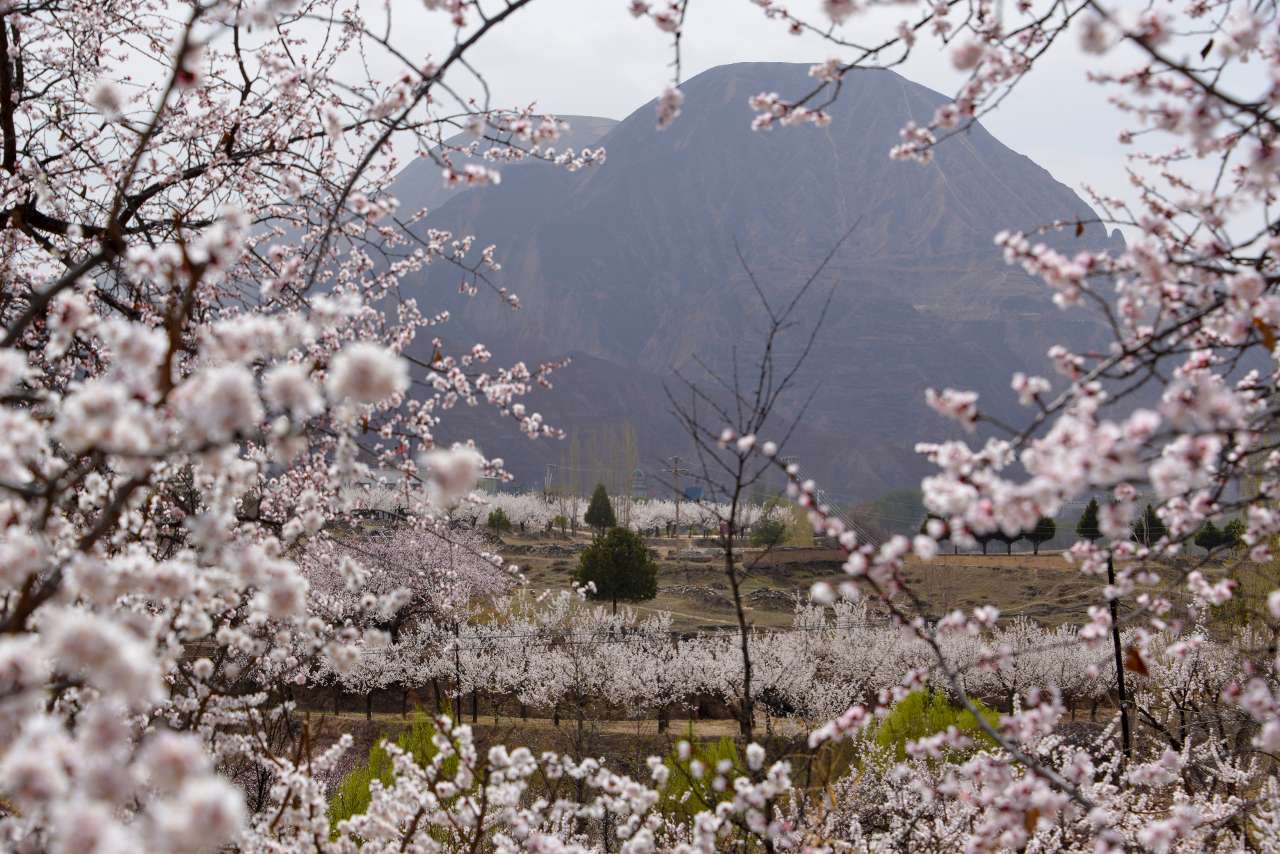 微信图片_20260405113056_423_94