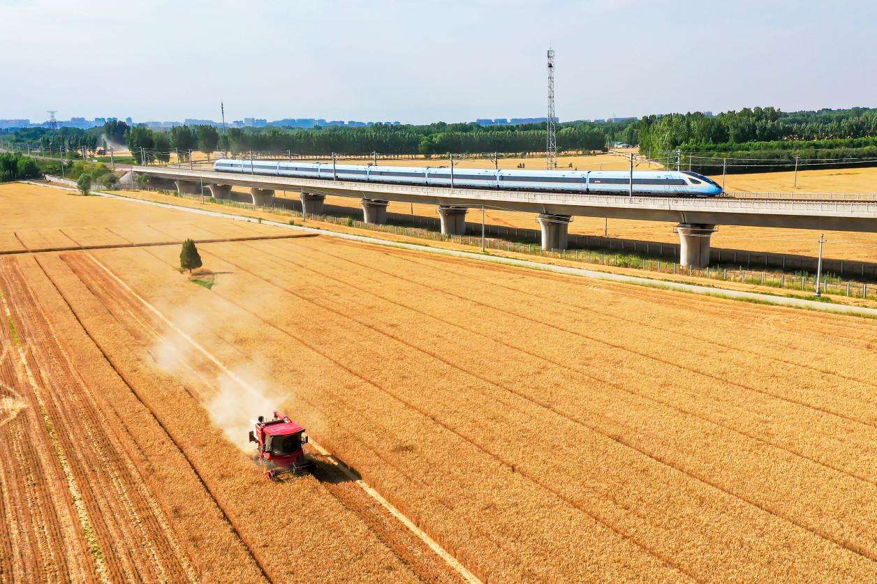 63b4aadba13c23eb789ff31c89dff52