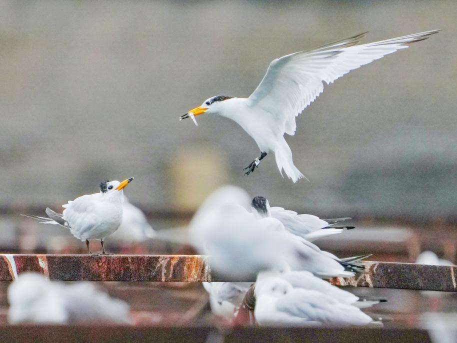 44c74d60cc1b45b24a555522008bdcd