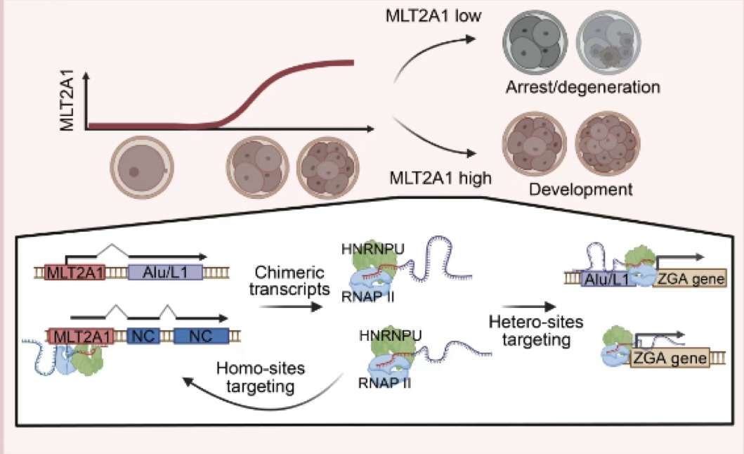 2026-01-23 15:16:03.499000