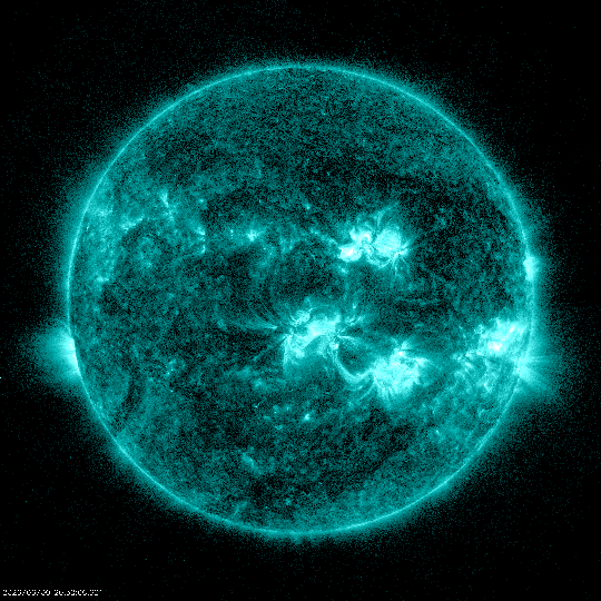 IMG_257