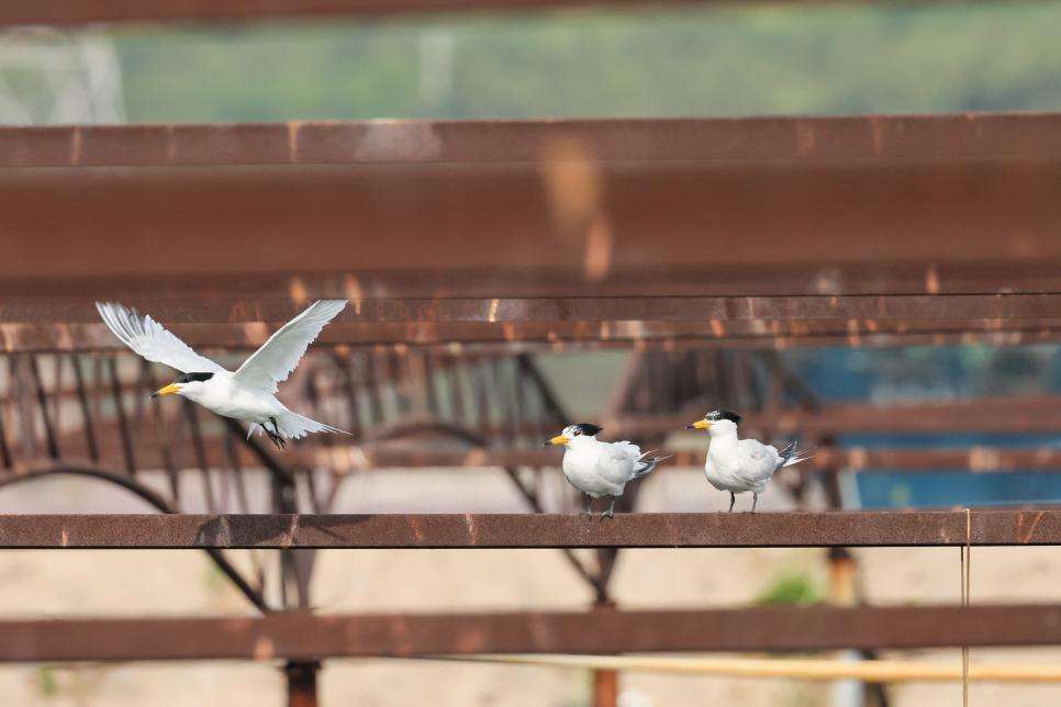 f132a17bf8b6bfd1d4d39aac3349db5