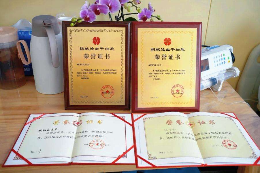 294cb7c16f00826eba4f9fd4bf6ab3ed