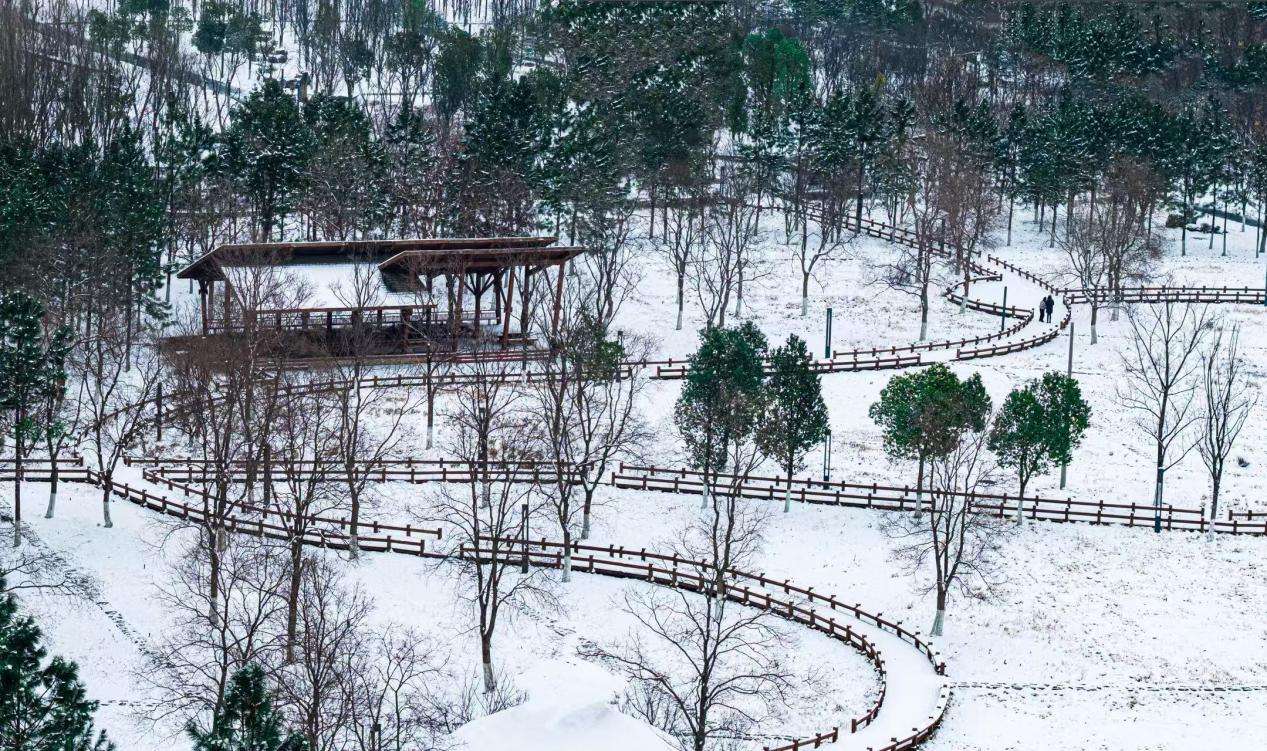 27792cb92ea0b3d887db00e33875f7c6