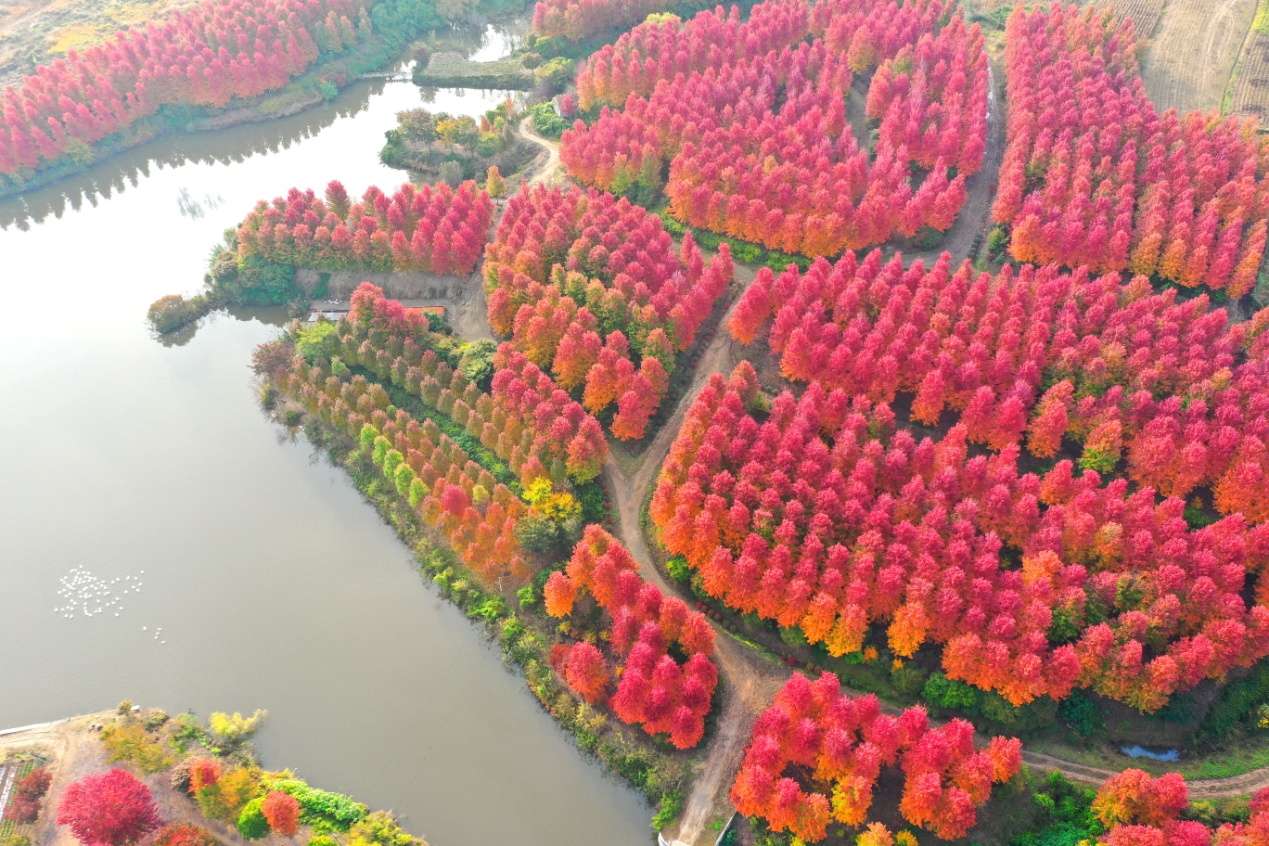 D:\Desktop\新建文件夹 (33)\新建文件夹 (2)\DJI_0689.JPG