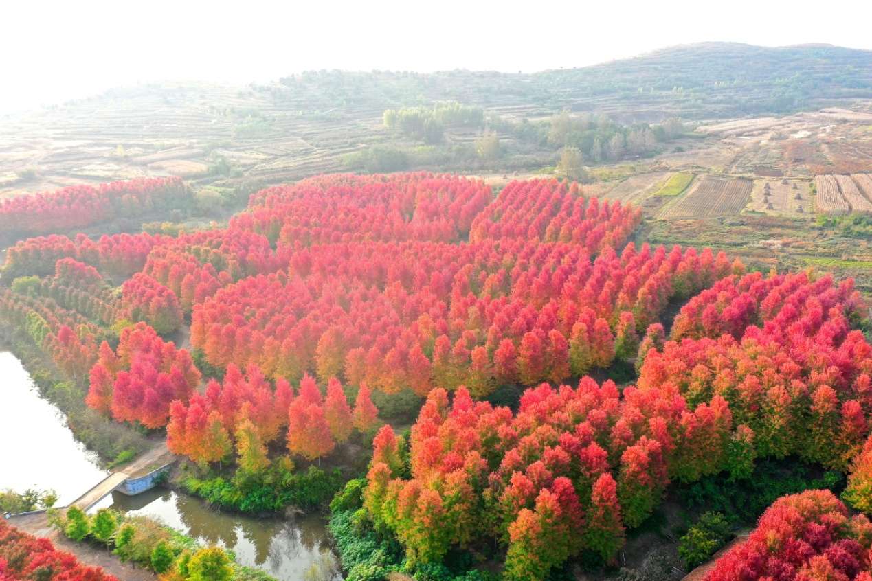 D:\Desktop\新建文件夹 (33)\新建文件夹 (2)\DJI_0644.JPG