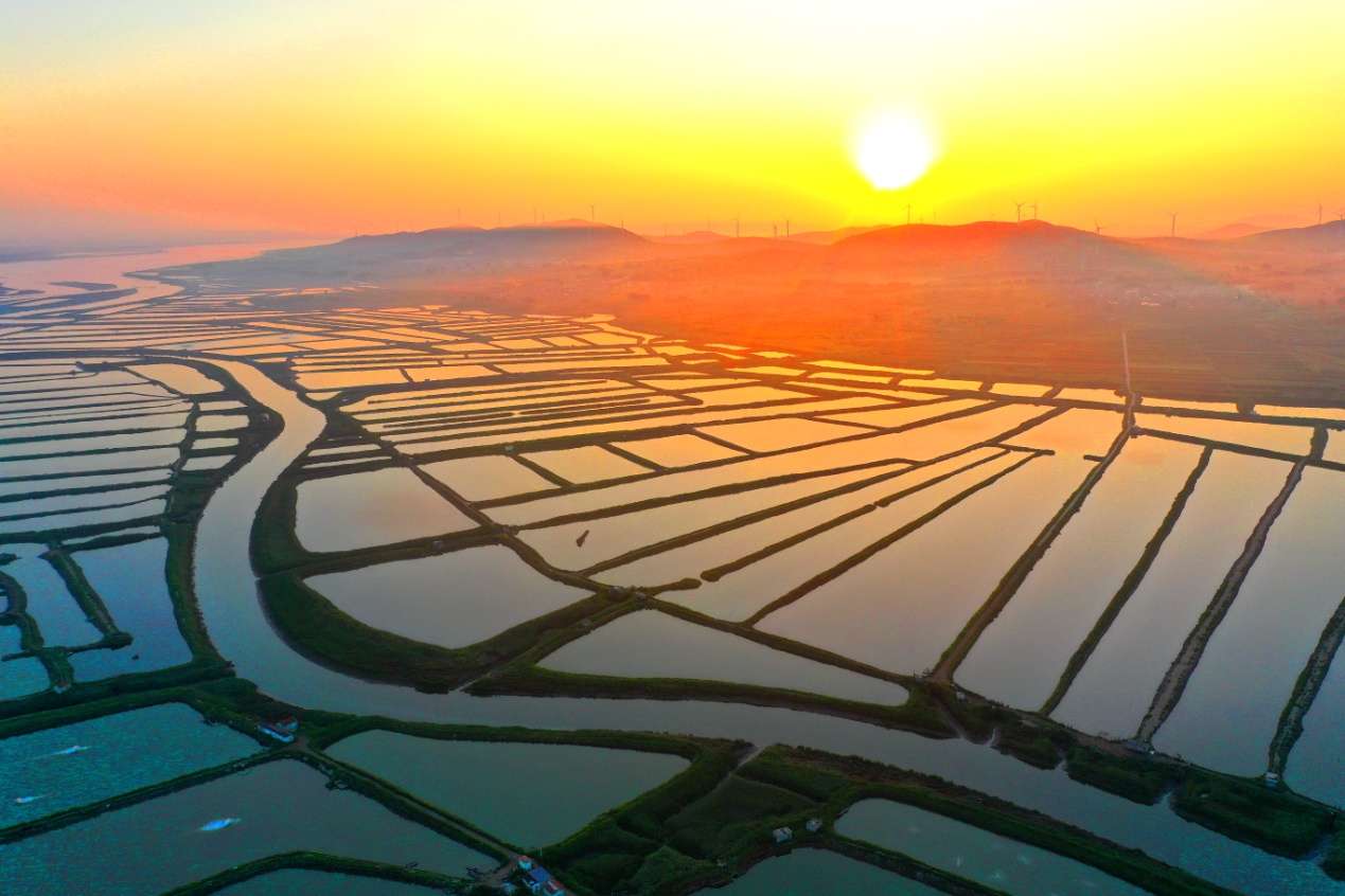D:\Desktop\新建文件夹 (15)\DJI_0486.JPG