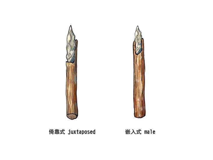 图3 西沟两种不同装柄方式的工具示意图1