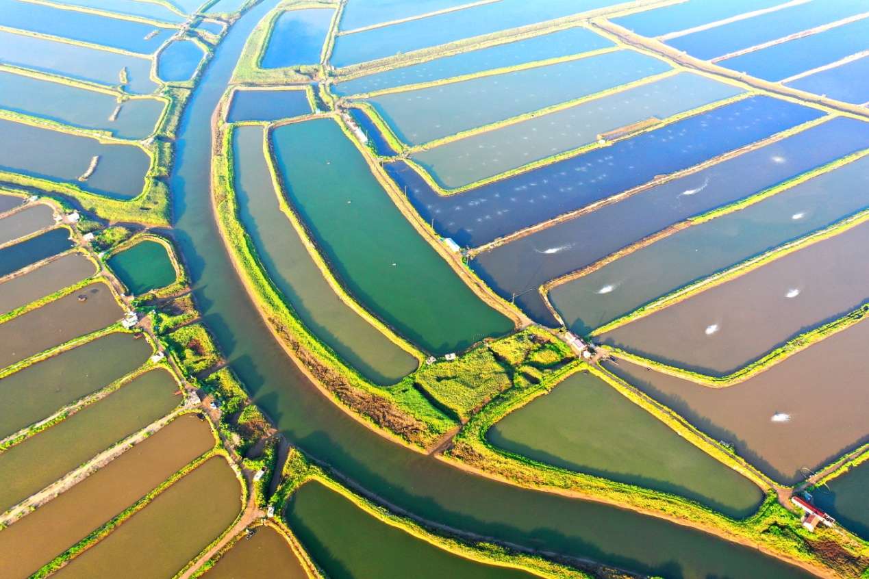 D:\Desktop\新建文件夹 (15)\DJI_0538.JPG