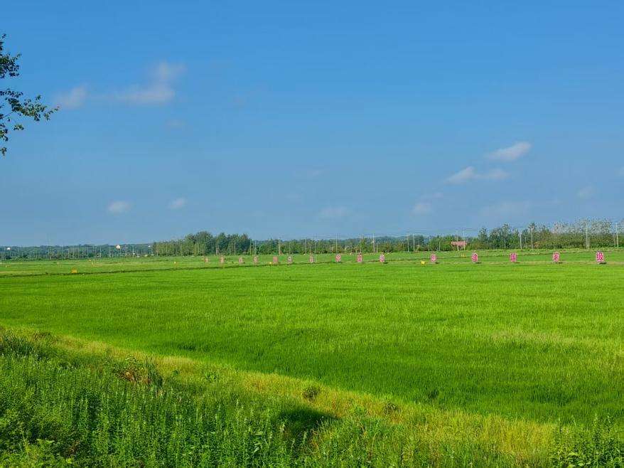 7bd1b2545b87932359b251cb34504e10