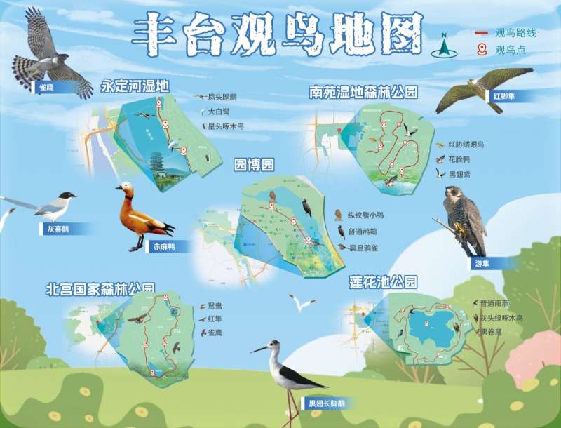 图示白丝， 暗示图&#10;&#10;中度简直度形色已自动生成:ver1